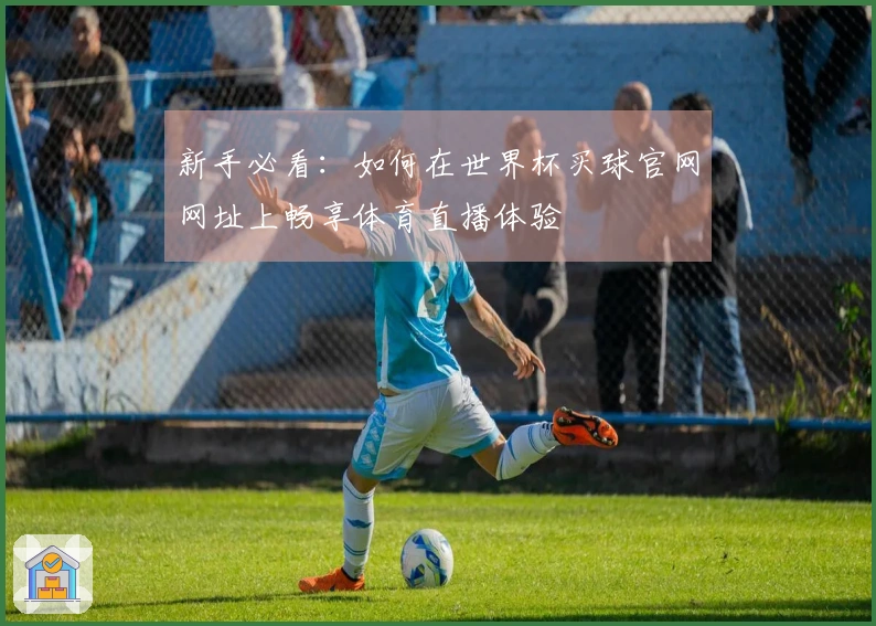 新手必看:如何在世界杯买球官网网址上畅享体育直播体验