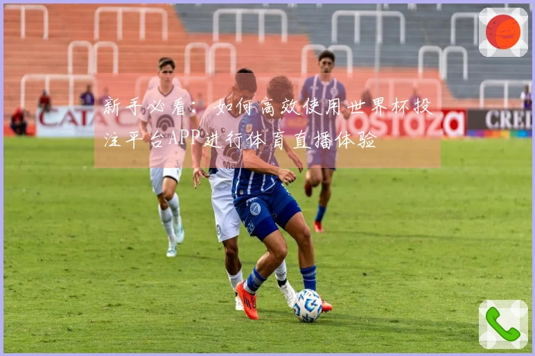 新手必看：如何高效使用世界杯投注平台APP进行体育直播体验