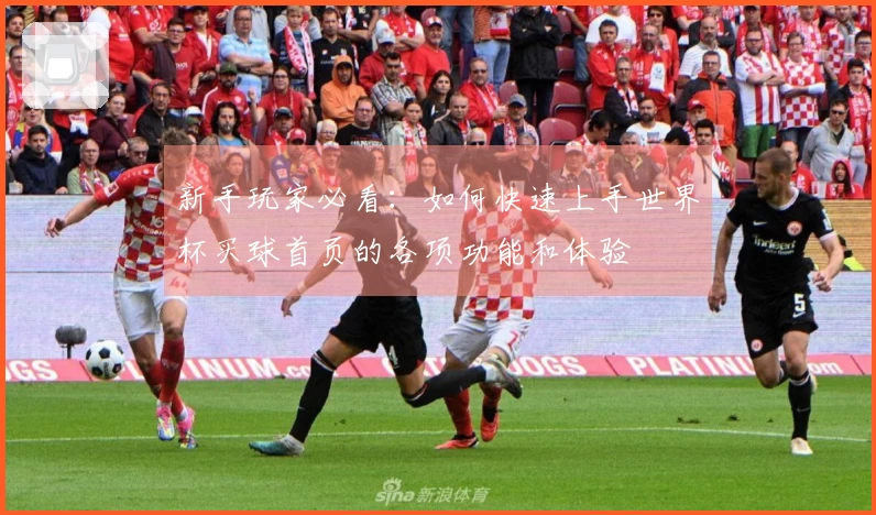 新手玩家必看：如何快速上手世界杯买球首页的各项功能和体验