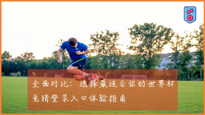 全面对比：选择最适合你的世界杯竞猜登录入口体验指南
