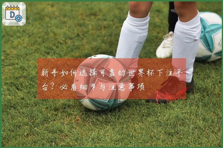 新手如何选择可靠的世界杯下注平台？必看细节与注意事项