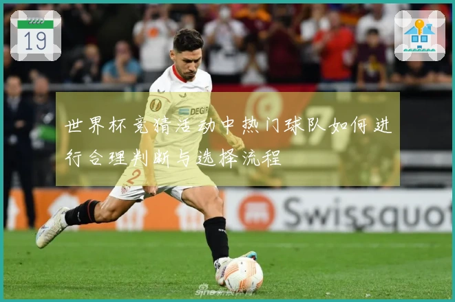 世界杯竞猜活动中热门球队如何进行合理判断与选择流程
