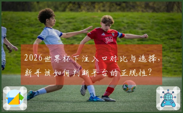 2026世界杯下注入口对比与选择，新手该如何判断平台的正规性？