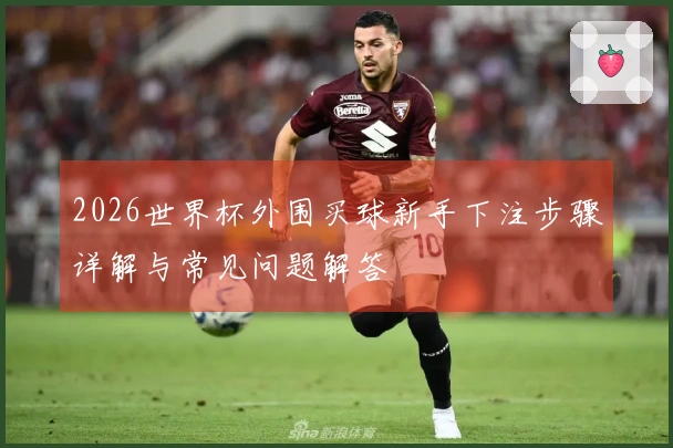2026世界杯外围买球新手下注步骤详解与常见问题解答