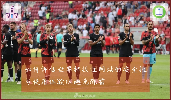 如何评估世界杯投注网站的安全性与使用体验以避免踩雷