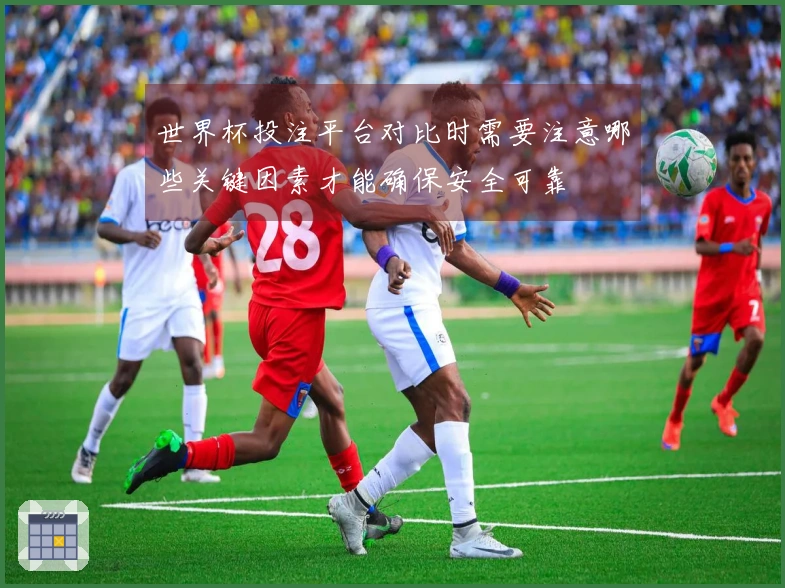 世界杯投注平台对比时需要注意哪些关键因素才能确保安全可靠