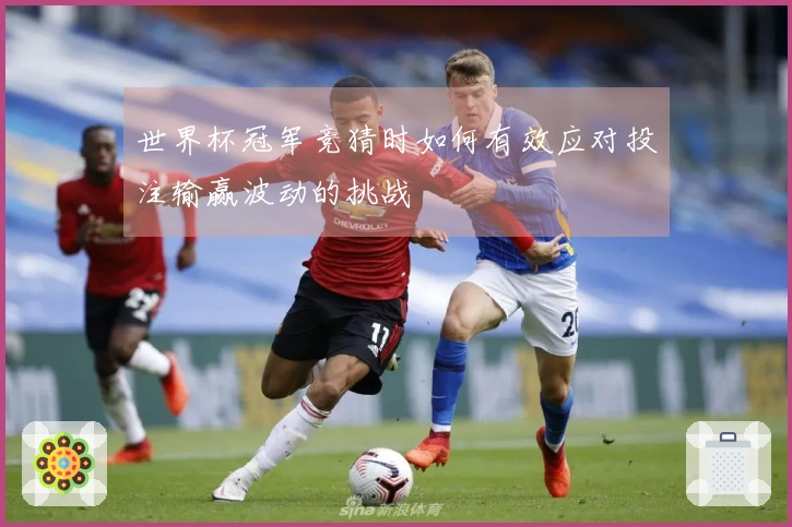 世界杯冠军竞猜时如何有效应对投注输赢波动的挑战