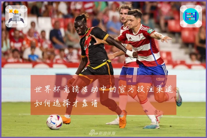 世界杯竞猜活动中的官方投注渠道如何选择才靠谱