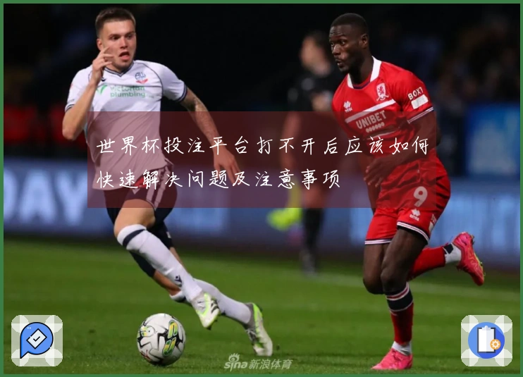 世界杯投注平台打不开后应该如何快速解决问题及注意事项