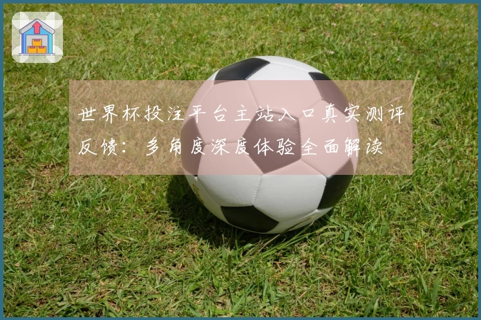 世界杯投注平台主站入口真实测评反馈：多角度深度体验全面解读