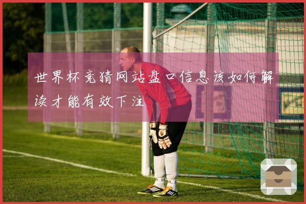 世界杯竞猜网站盘口信息该如何解读才能有效下注