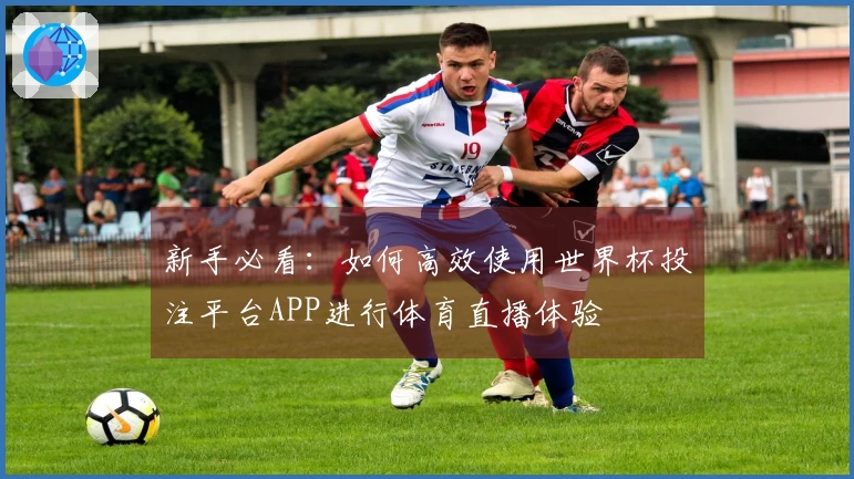 新手必看：如何高效使用世界杯投注平台APP进行体育直播体验