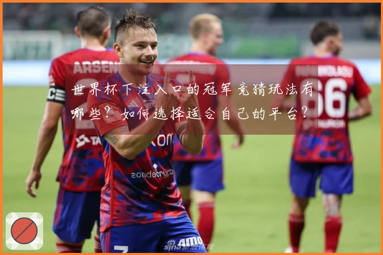 世界杯下注入口的冠军竞猜玩法有哪些？如何选择适合自己的平台？