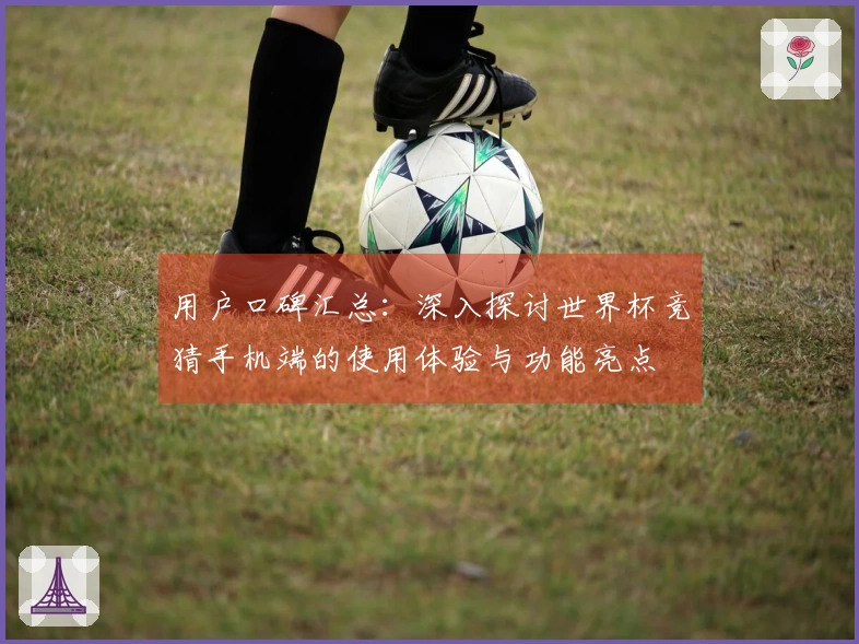 用户口碑汇总：深入探讨世界杯竞猜手机端的使用体验与功能亮点