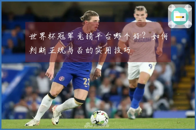 世界杯冠军竞猜平台哪个好？如何判断正规与否的实用技巧